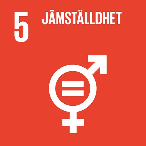 Logotyp mål 5, jämställdhet